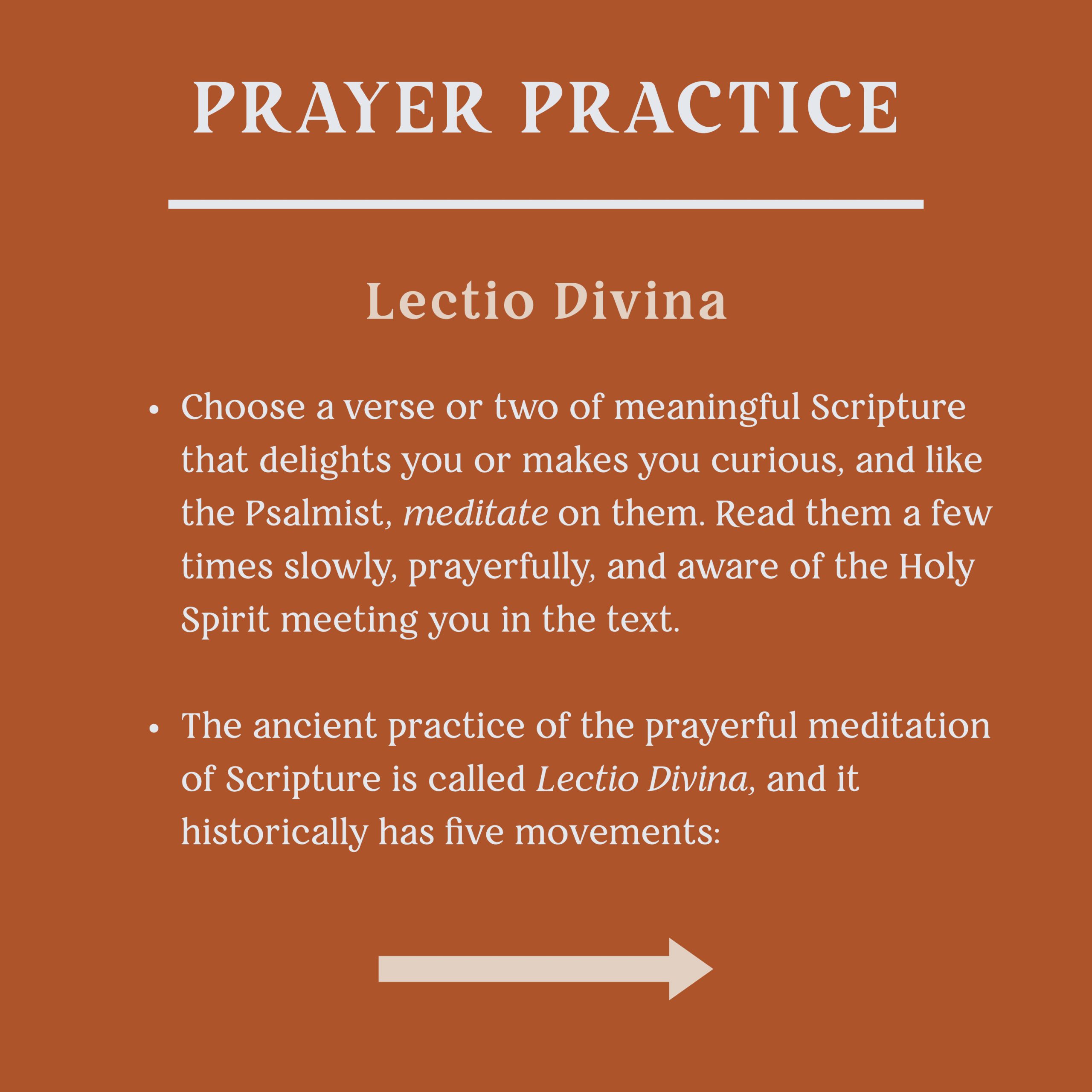 Prayer Practice
Lectio Divina
Choose a verse or two of meaningful scripture that delights you or makes you curious and like the Psalmist, meditate on them. Read them a few times slowly, prayerfully, and aware of the Holy Spirit meeting you in the text.
The ancient practice of prayerful meditation of Scripture is called Lectio Divina, and it historically has five movements: 